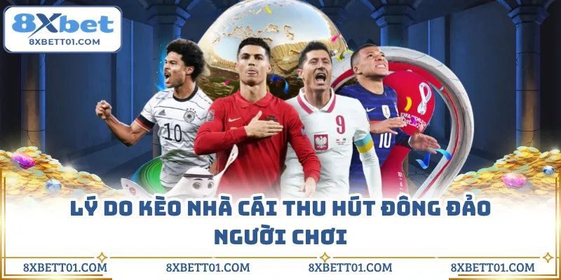 Lý do kèo nhà cái thu hút đông đảo người chơi 