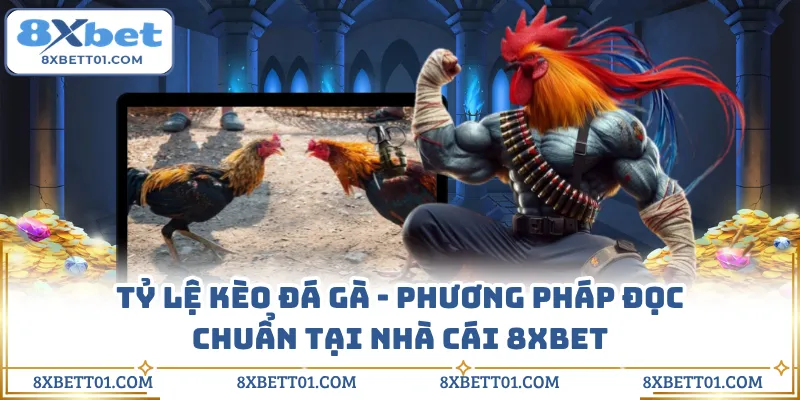 Tỷ Lệ Kèo Đá Gà - Phương Pháp Đọc Chuẩn Tại Nhà Cái 8XBET